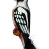 Woodpecker Glass Christmas Ornament 2 Woodpecker Glass Christmas Ornament -Beer Stein Store Woodpecker Glass Christmas Ornament GSA1456 Side SM 21517.1612283324