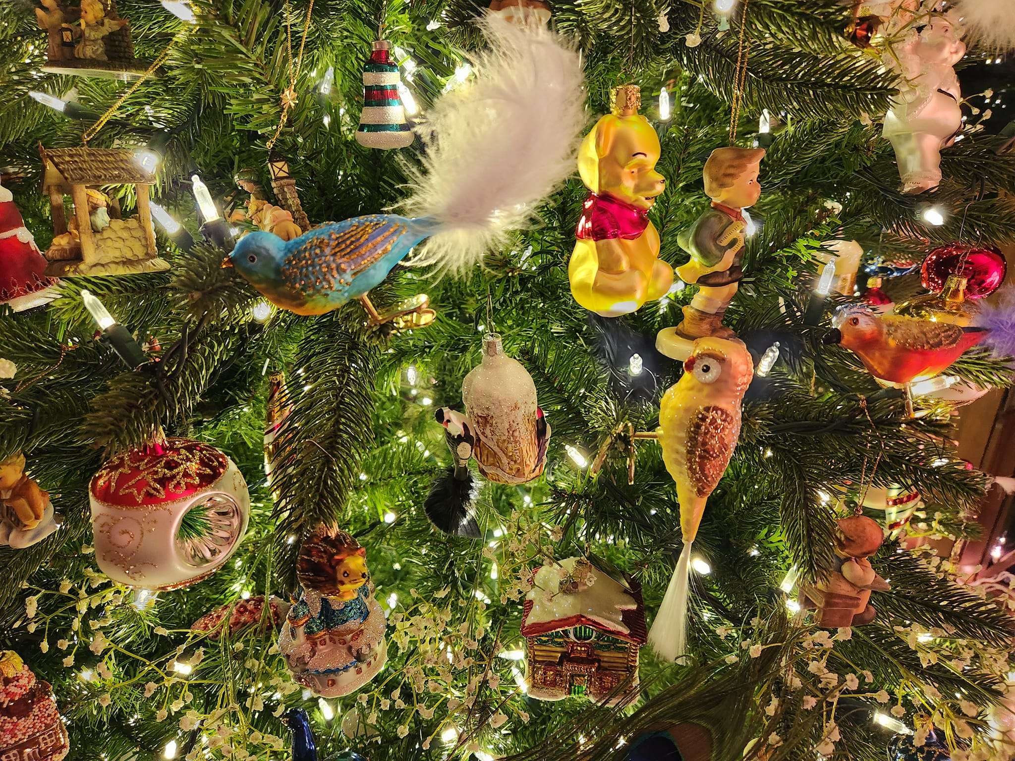 Beer Stein Store -Beer Stein Store 515414182 24115069601422809 1173213059951377736 n